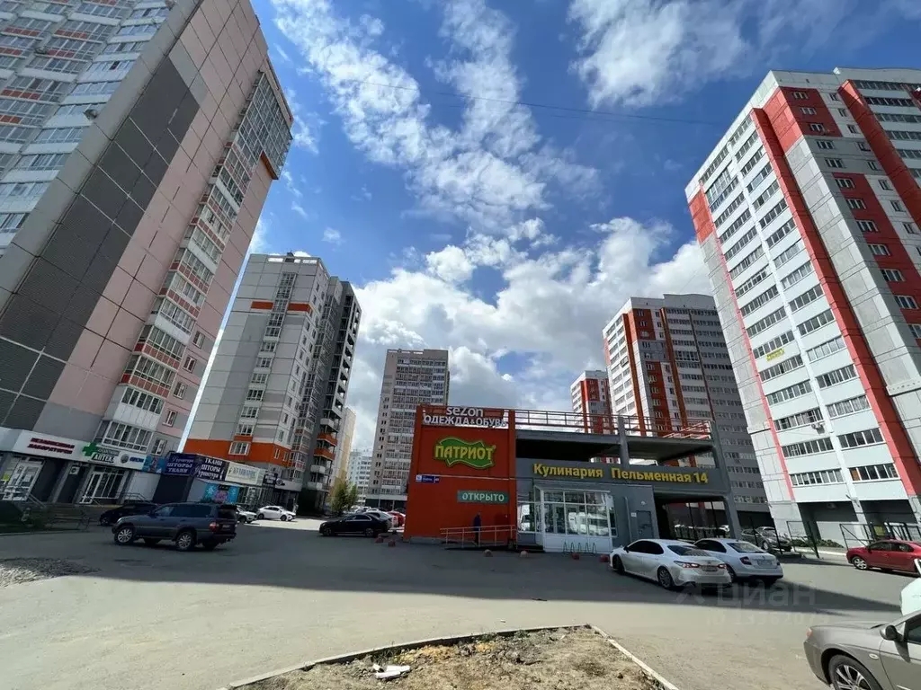Торговая площадь в Челябинская область, Челябинск ул. Бейвеля, 49 (112 ... - Фото 0