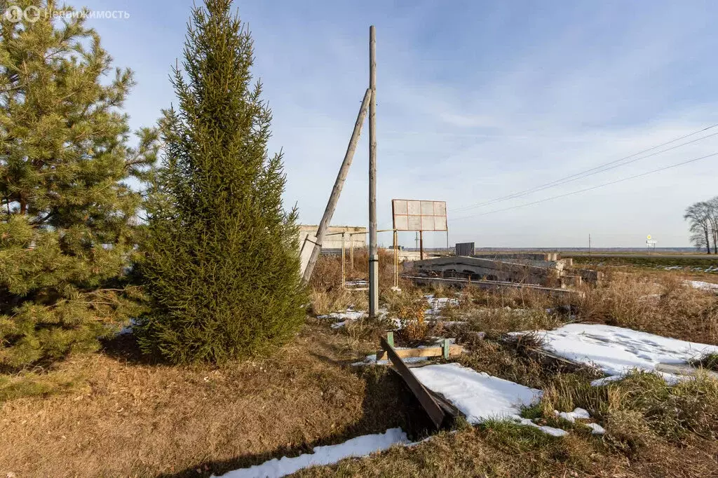 Участок в село Червишево, Садовая улица (7.5 м) - Фото 0