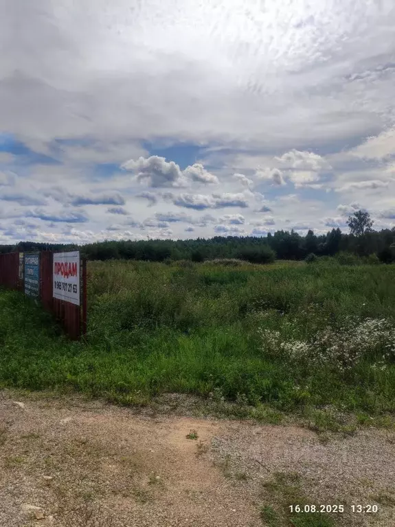 Участок в Калужская область, Совхоз Боровский с/пос, д. Тимашово ул. ... - Фото 1