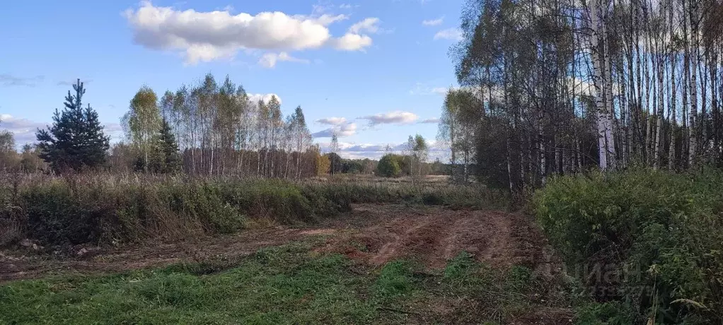 Участок в Владимирская область, Киржачский муниципальный округ, д. ... - Фото 1