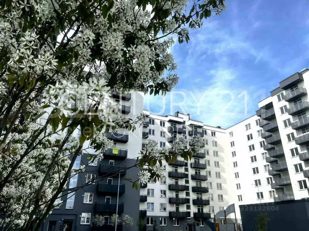 3-к кв. Калининградская область, Калининград ул. Юрия Гагарина, 114 ... - Фото 1