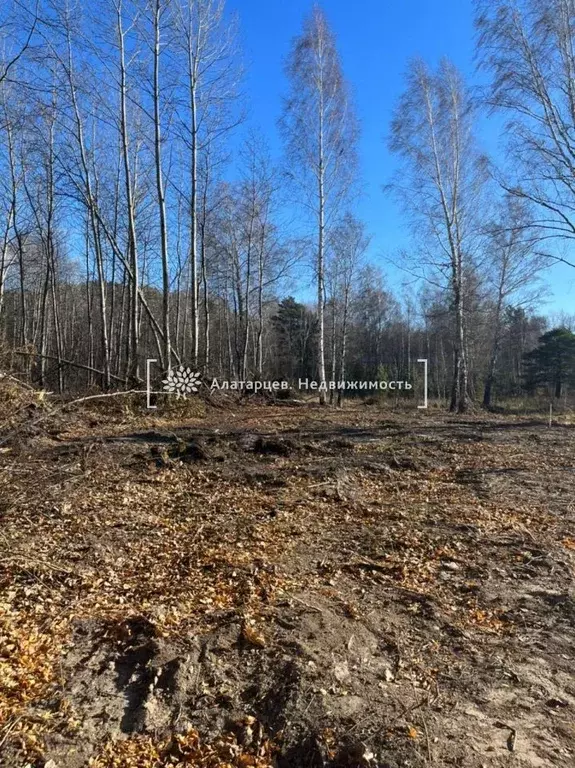 Участок в Томская область, Томский район, д. Воронино, Поселок ... - Фото 1