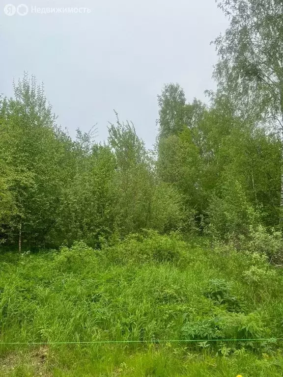 Участок в Ленинградская область, Кировское городское поселение, ... - Фото 0