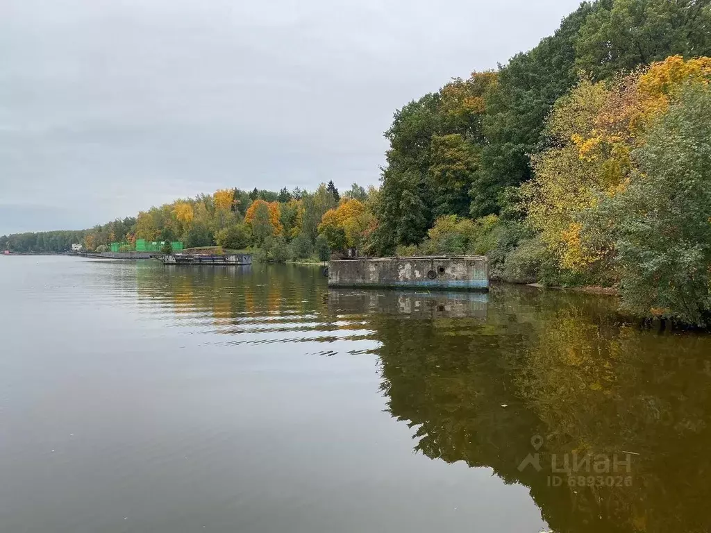 Купить Участок В Черное Московской Области