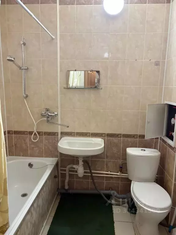 1-к кв. Псковская область, Псковский район, Завеличенская волость, д. ... - Фото 1