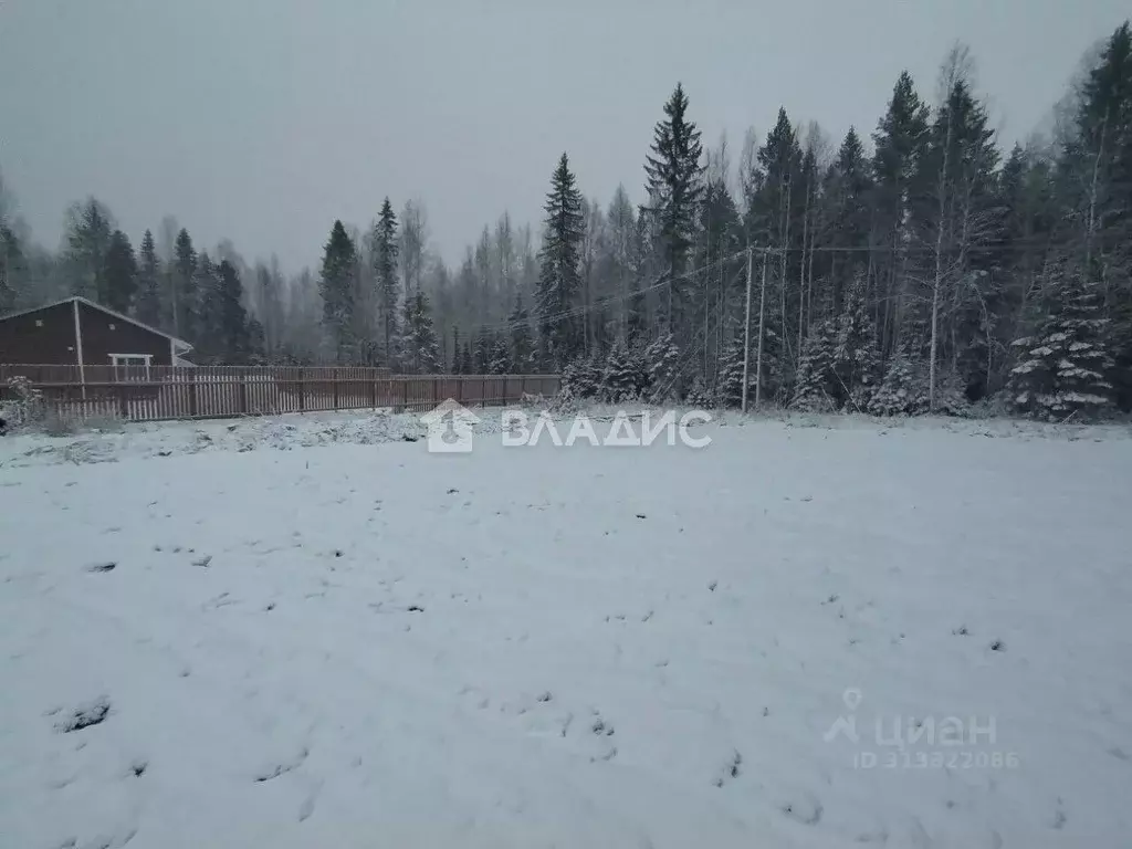 Участок в Карелия, Пряжинский район, пос. Чална ул. Тенистая (9.41 ... - Фото 1