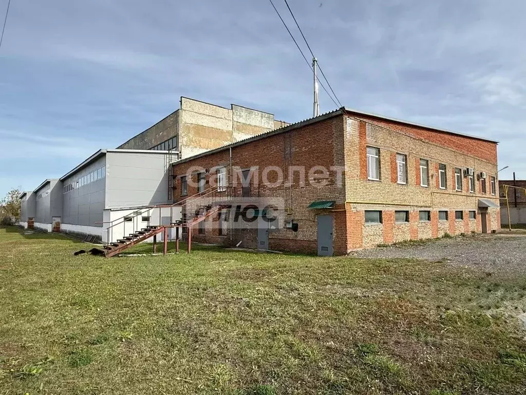 Производственное помещение в Пензенская область, Каменка ул. ... - Фото 1
