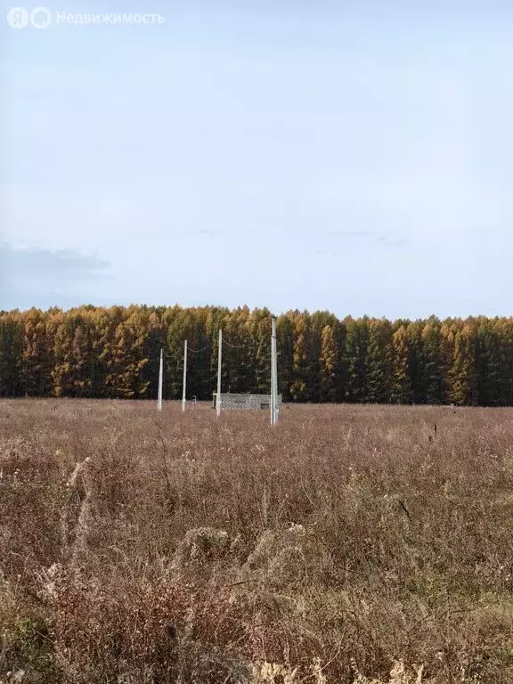 Участок в Стерлитамакский район, Казадаевский сельсовет, село ... - Фото 1