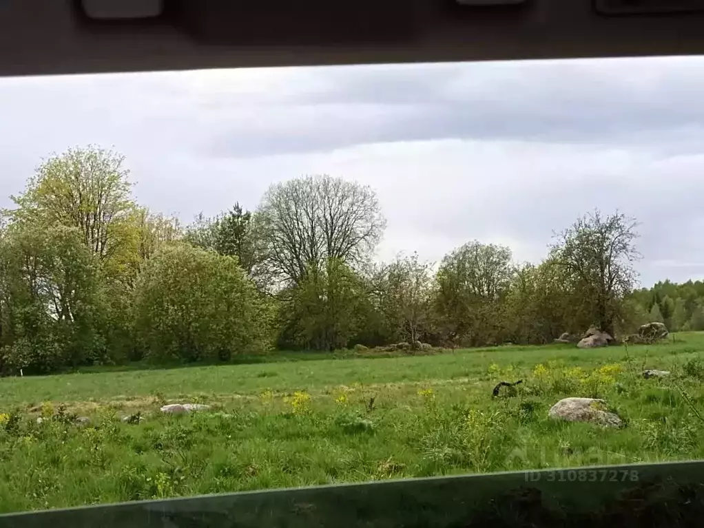 Участок в Ленинградская область, Приозерский район, Красноозерное ... - Фото 0