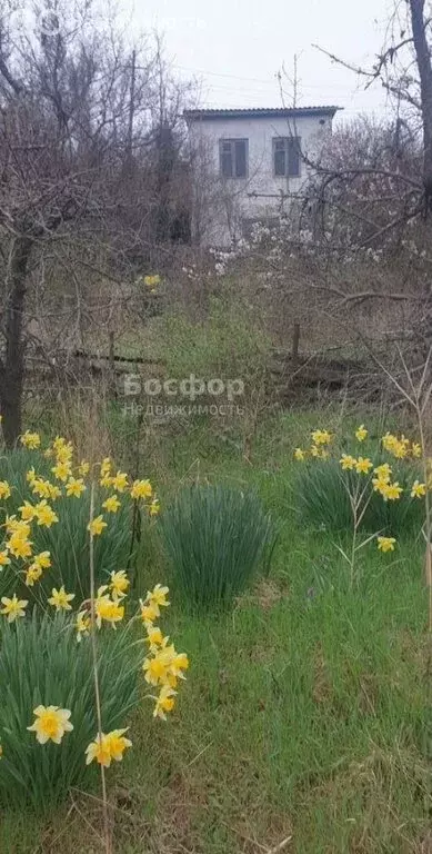 Дом в Феодосия, улица Панова (40 м) - Фото 1