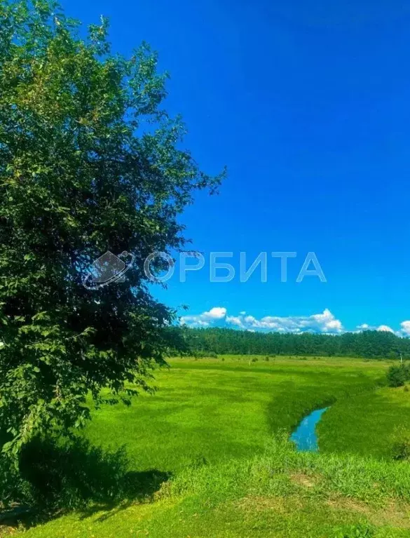 Дом в Тюменская область, Нижнетавдинский муниципальный округ, с. ... - Фото 2