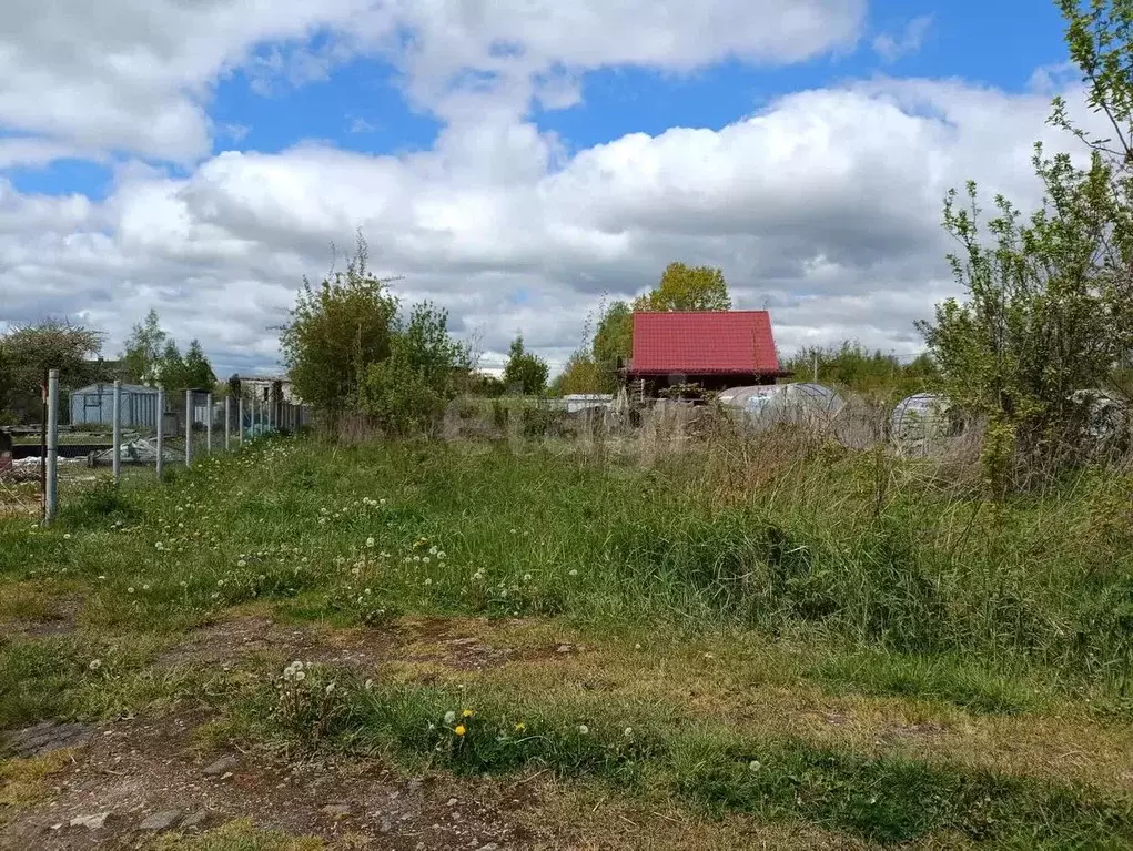 Участок в Калининградская область, Калининград Родник СНТ, ул. ... - Фото 1