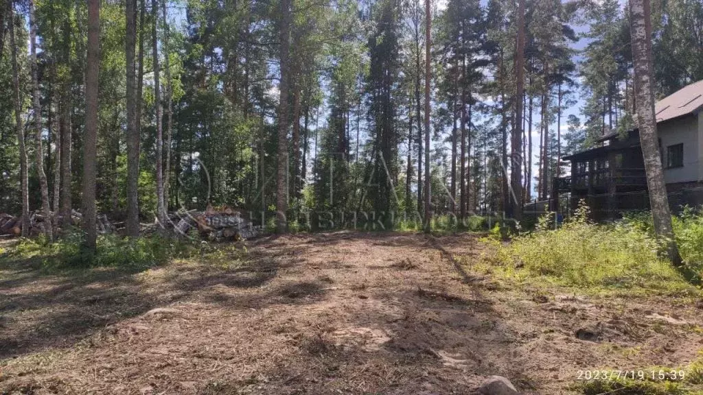 Участок в Ленинградская область, Приозерский район, Петровское с/пос, ... - Фото 2