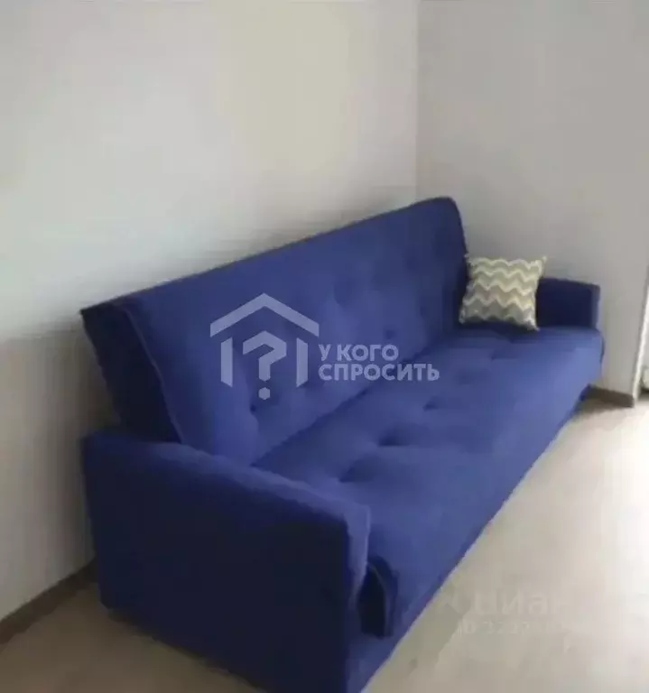 Студия Санкт-Петербург ул. Летчика Лихолетова, 14к4 (24.9 м) - Фото 1