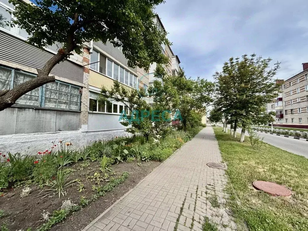 1-к кв. Белгородская область, Новый Оскол ул. Ленина, 50 (31.7 м) - Фото 2