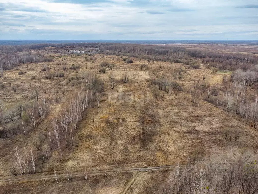 Участок в Хабаровский край, Имени Лазо район, Село Второй Сплавной уч  ... - Фото 0
