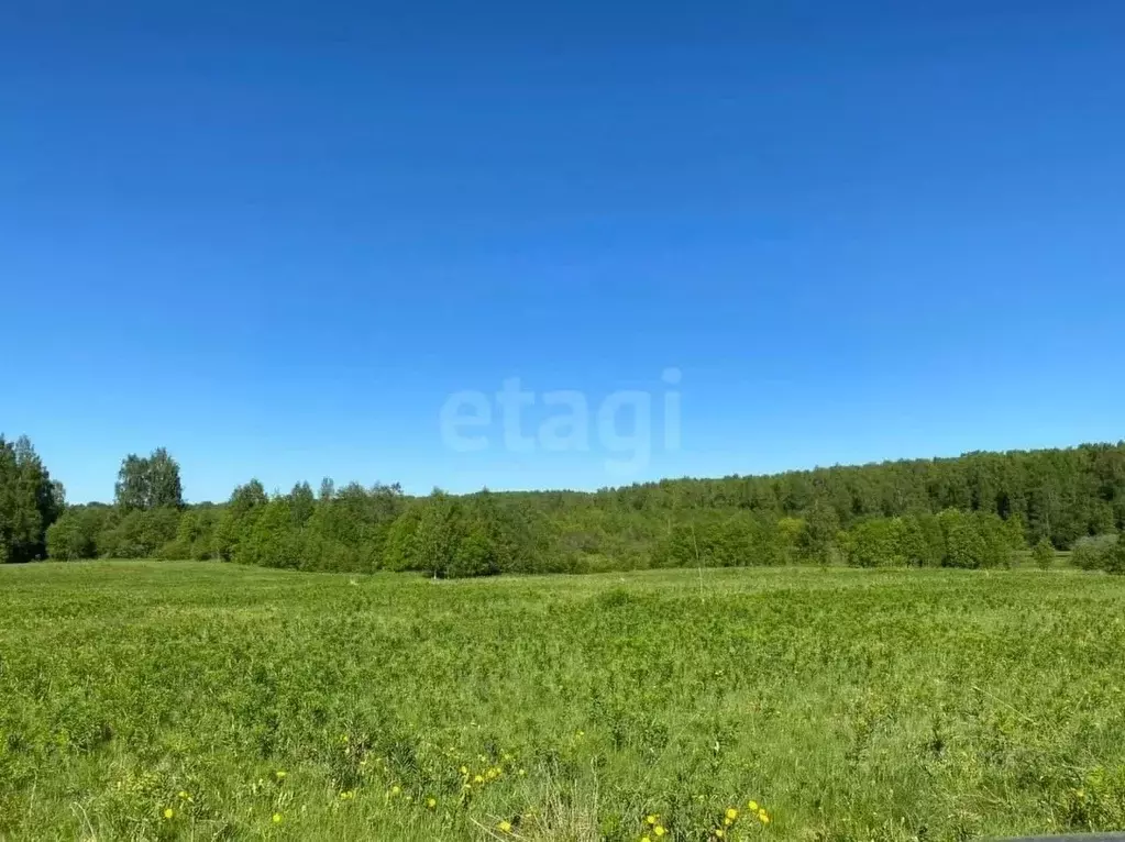 Участок в Вологодская область, пос. Кипелово  (21.0 сот.) - Фото 0