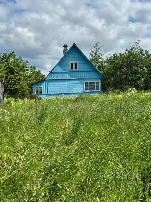 Участок в Ленинградская область, Гатчинский район, д. Меньково 54 ... - Фото 0