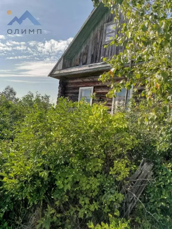 Дом в Вологодская область, д. Зуево 20 (47 м) - Фото 1