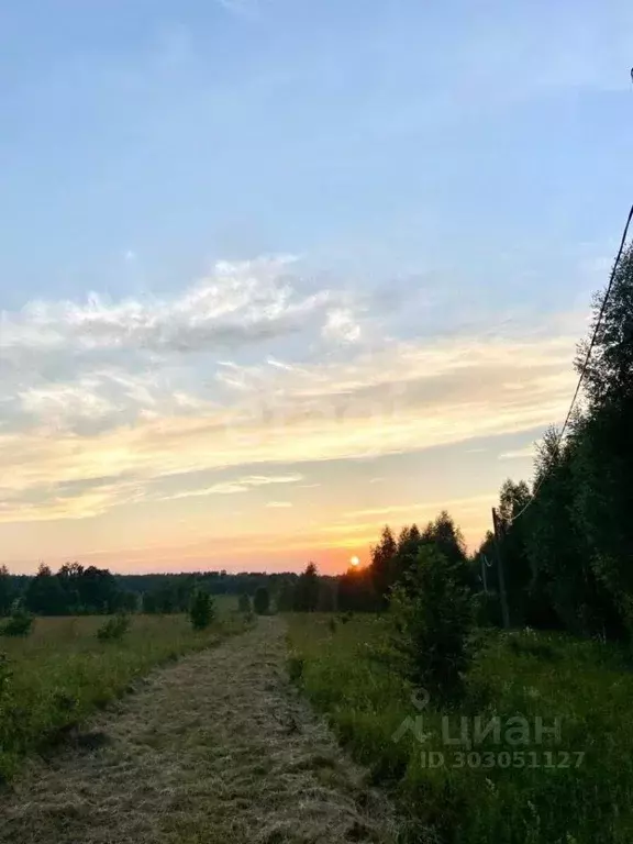 Участок в Тульская область, Дубенский район, Протасовское ... - Фото 0