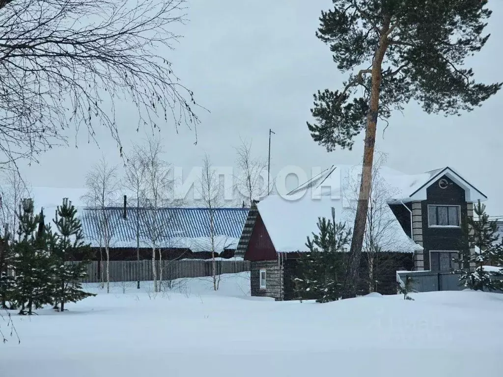 Дом в Ханты-Мансийский АО, Когалым Широкая ул. (20 м) - Фото 0