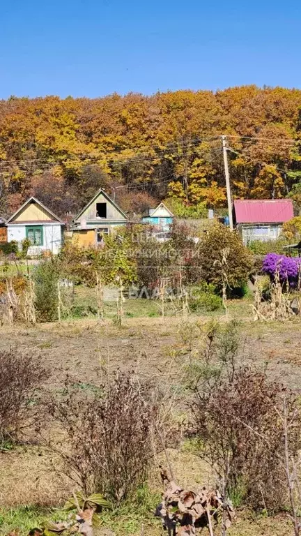 Участок в Приморский край, Арсеньев Пионер садоводческое товарищество, ... - Фото 1