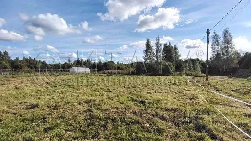 Участок в Ленинградская область, Выборгский район, Советское городское ... - Фото 1