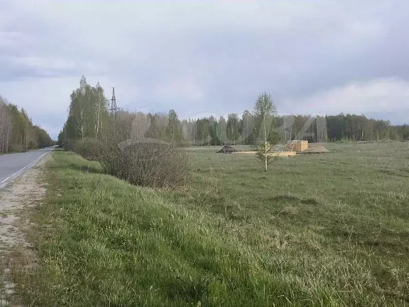 Участок в Тюменская область, Нижнетавдинский район, пос. Торгили  ... - Фото 1