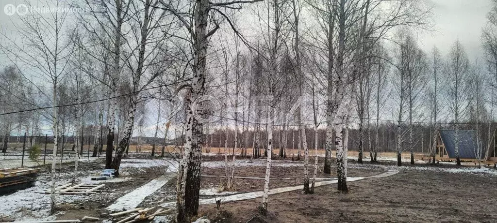 Участок в Нижнетавдинский район, садоводческое товарищество ... - Фото 0
