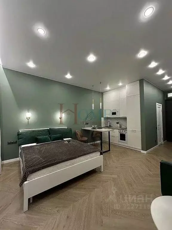 Студия Новосибирская область, Новосибирск Красный просп., 220 (29.0 м) - Фото 1