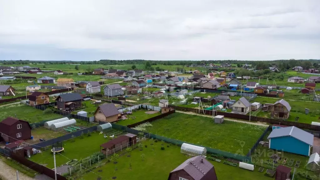 Участок в Ленинградская область, Тосненский район, Форносовское ... - Фото 1