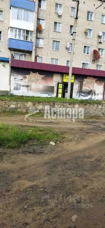 Торговая площадь в Забайкальский край, Борзя ул. Карла Маркса, 87 (195 ... - Фото 2