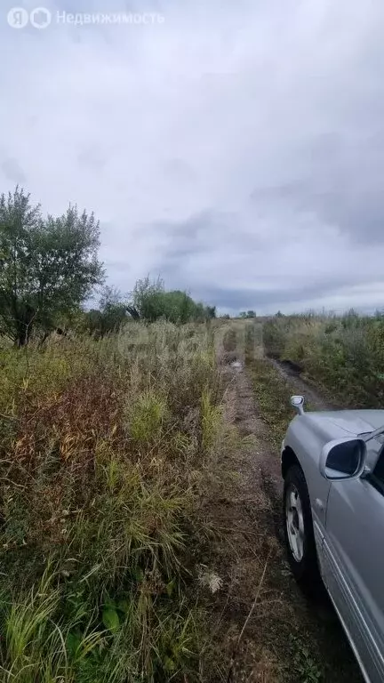 Участок в Амурская область, Благовещенск (850 м) - Фото 1