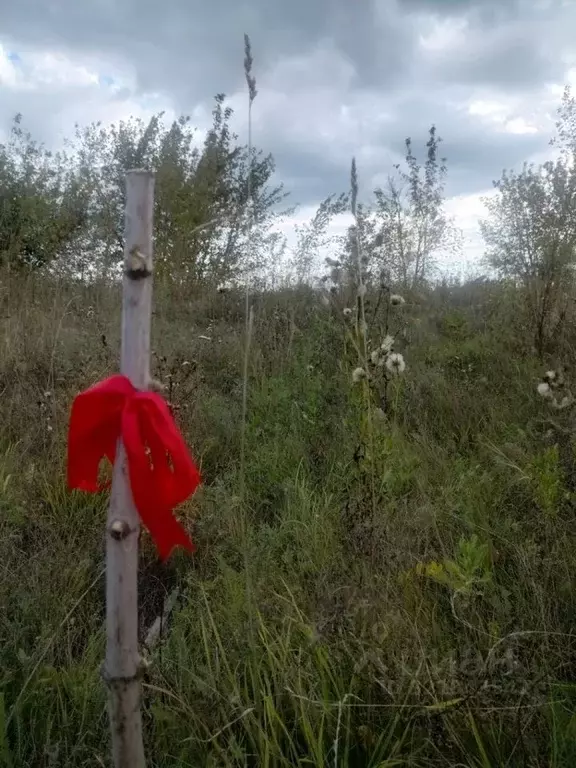 Участок в Пензенская область, Пенза ул. Молодежная (6.0 сот.) - Фото 2