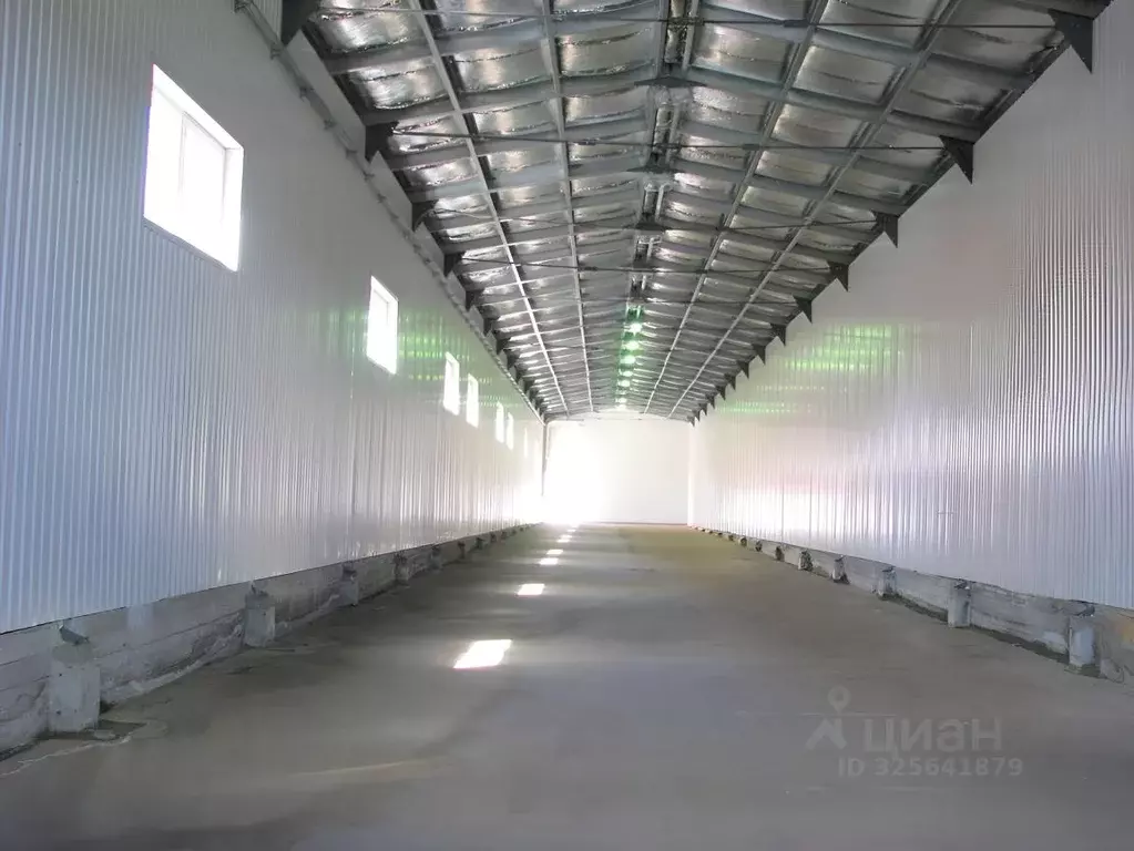 Склад в Московская область, Мытищи городской округ, д. Новосельцево ... - Фото 1