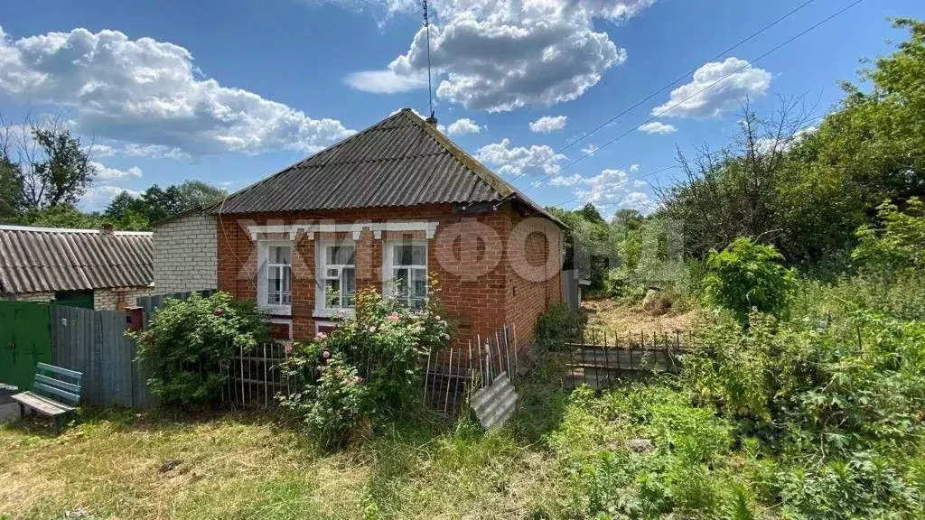 Дом в Белгородская область, Борисовский район, Стригуновское с/пос, с. ... - Фото 2