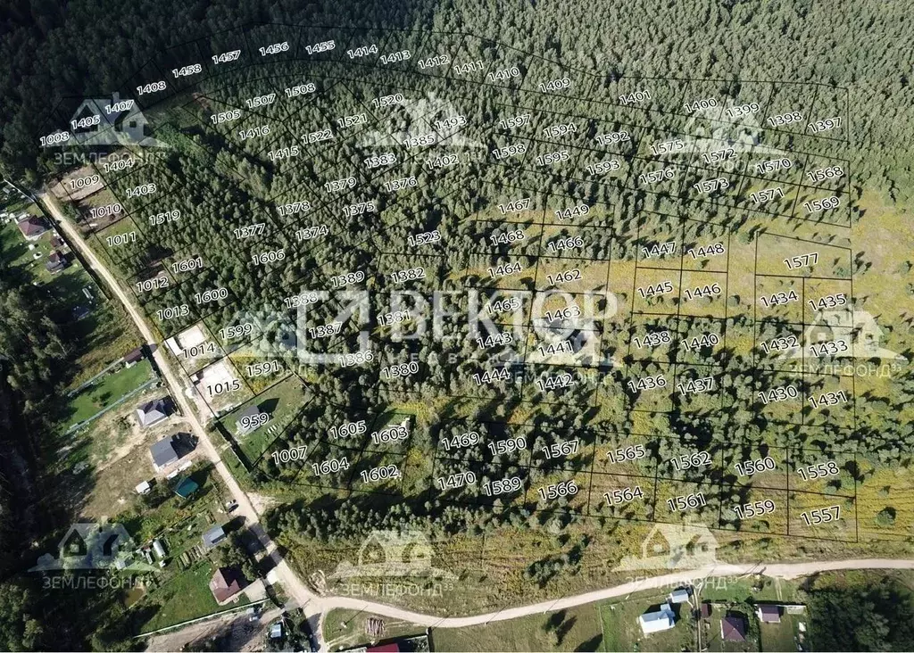 Участок в Владимирская область, Владимир д. Вилки, ул. Центральная ... - Фото 1