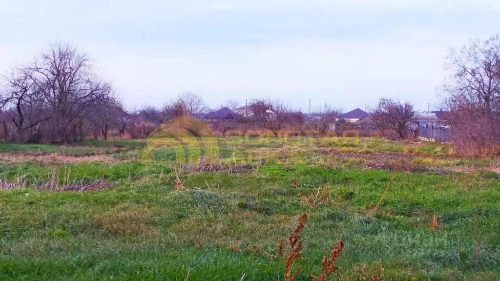 Участок в Краснодарский край, Темрюкский район, Старотитаровское ... - Фото 1