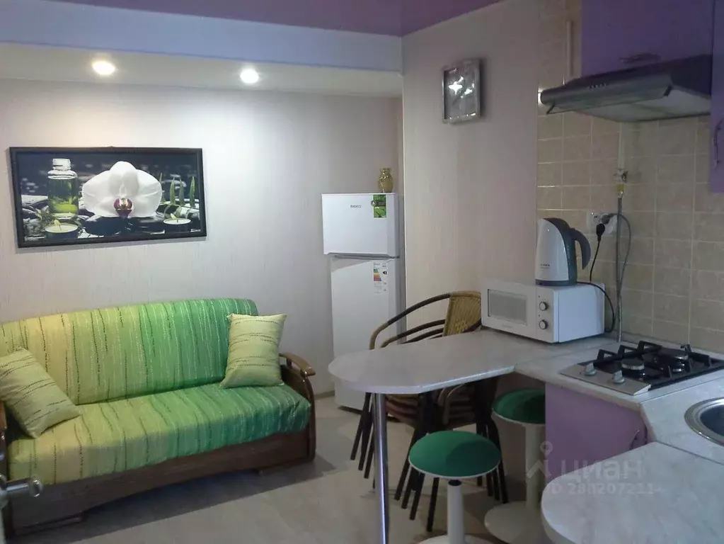 1-к кв. Краснодарский край, Геленджик ул. Грибоедова, 13 (35.0 м) - Фото 2