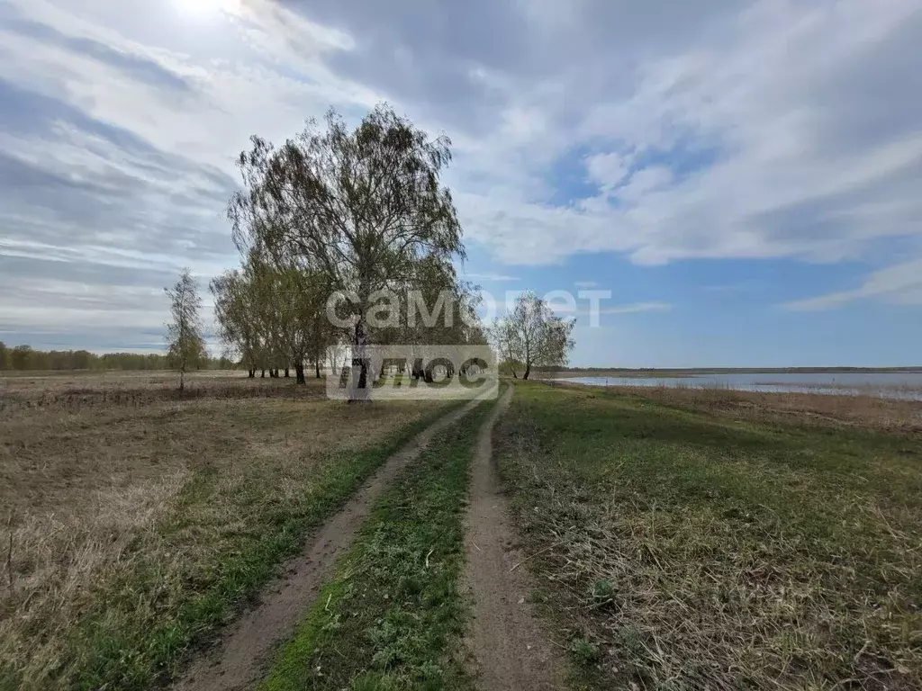 Участок в Челябинская область, Аргаяшский район, д. Дербишева  (2520.0 ... - Фото 0