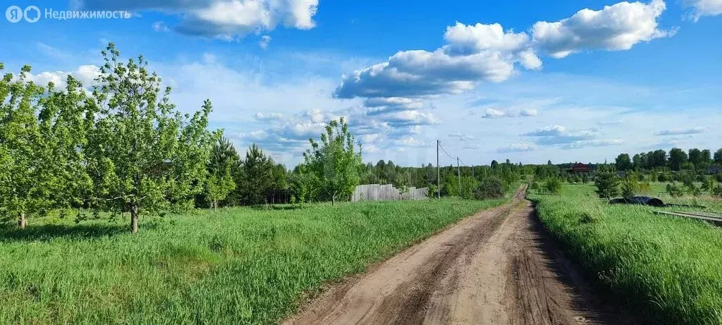 Участок в Первомайский район, посёлок Новый, Берёзовская улица (12 м) - Фото 1