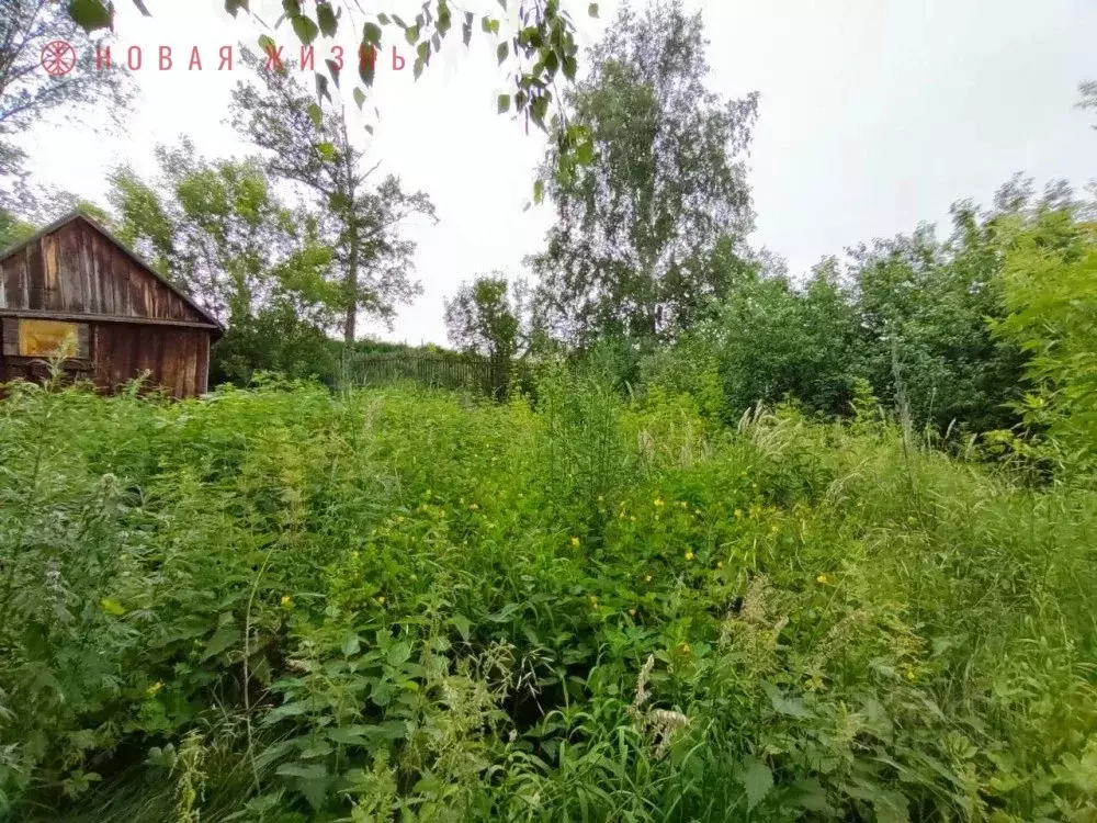 Участок в Самарская область, Красноярский район, Коммунарский с/пос, ... - Фото 2