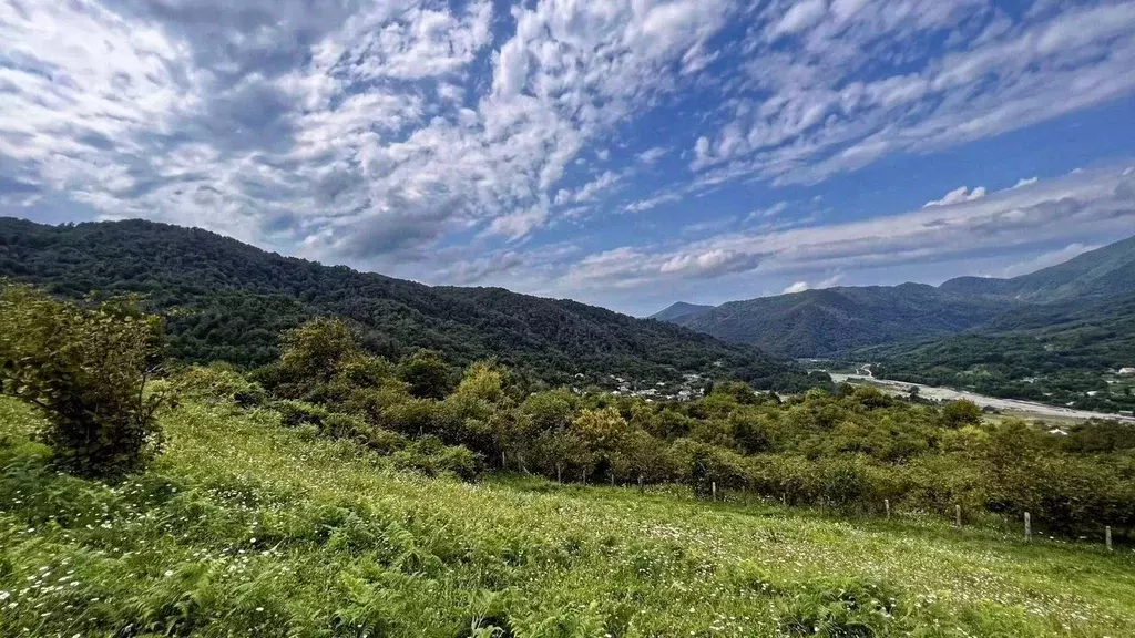 Участок в Краснодарский край, Сочи городской округ, Хаджико аул  (12.0 ... - Фото 1