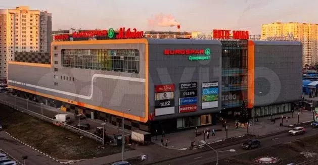 Сдается помещение 51.7 м в прикассовой зоне - Фото 0