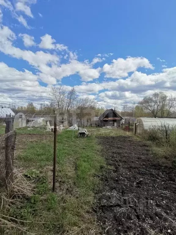 Дом в Нижегородская область, Навашино Советская ул., 16 (43 м) - Фото 2