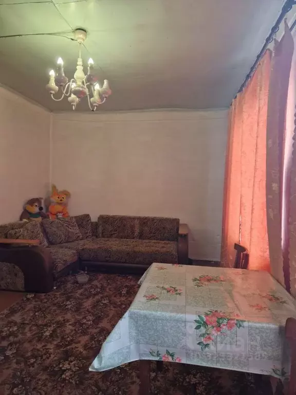 Дом в Курганская область, Белозерский муниципальный округ, с. ... - Фото 2