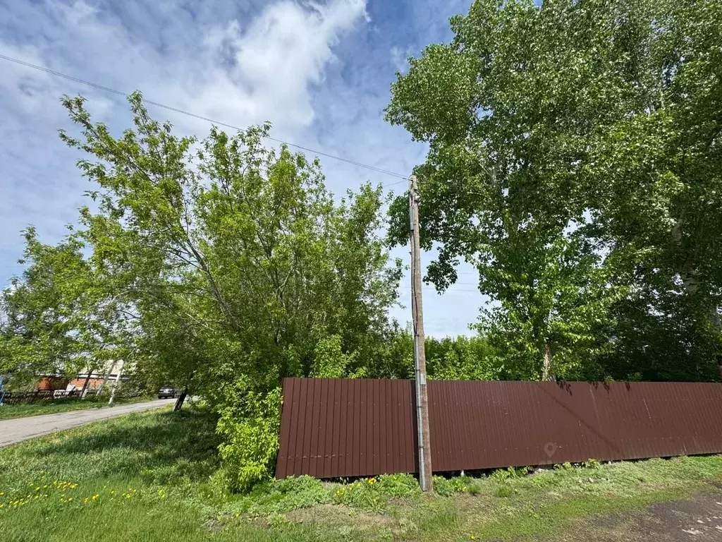 Участок в Алтайский край, Барнаул городской округ, с. Гоньба ул. ... - Фото 1