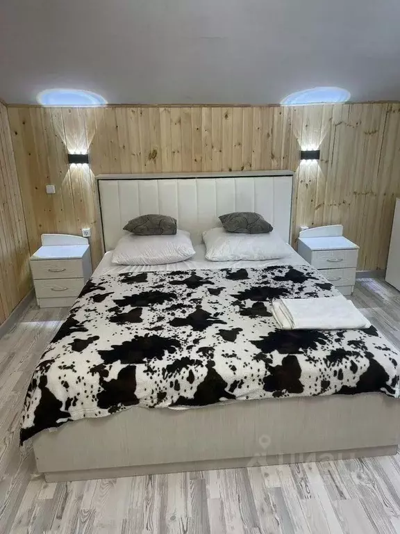 Дом в Новосибирская область, Новосибирск Сибиряк СНТ, пер. 1-й ... - Фото 1