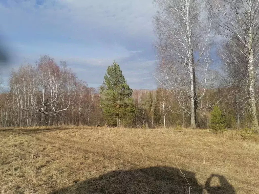 Участок в Томская область, Томский район, с. Корнилово, Красная горка ... - Фото 2