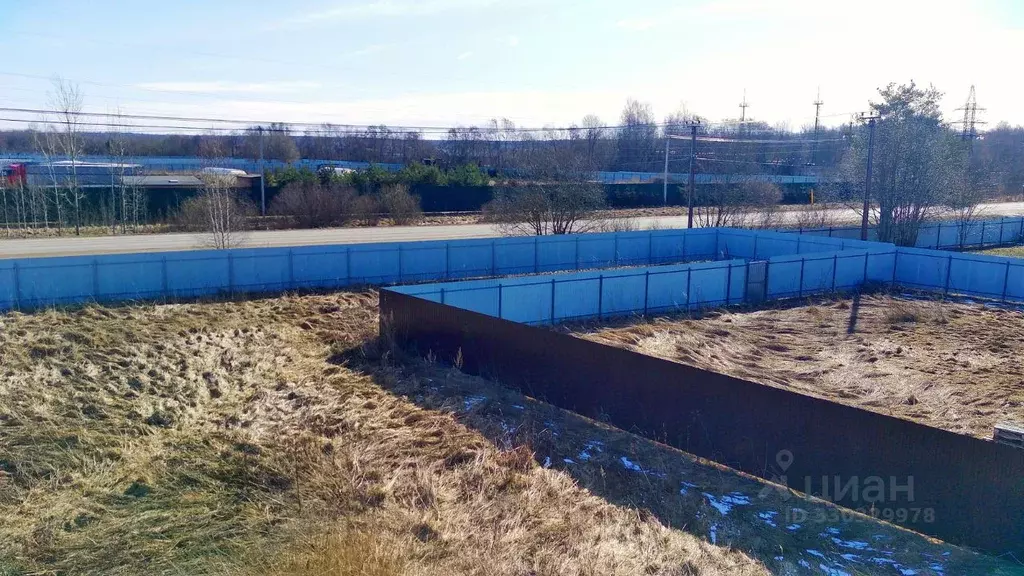 Участок в Ленинградская область, Ломоносовский район, д. Низино ул. ... - Фото 1